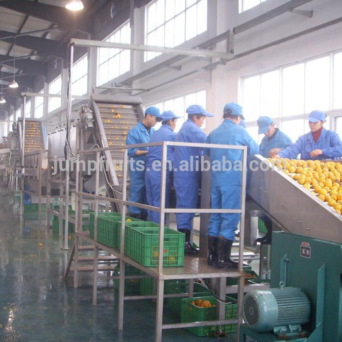 Industrial Automatic Fruit And Vegetables Photoelectric Sorting Machine