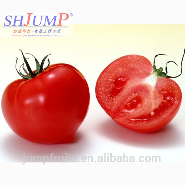 Cold Break Brix 36%-38% Tomato Paste Concentrate System Tomato Jam Processing Line