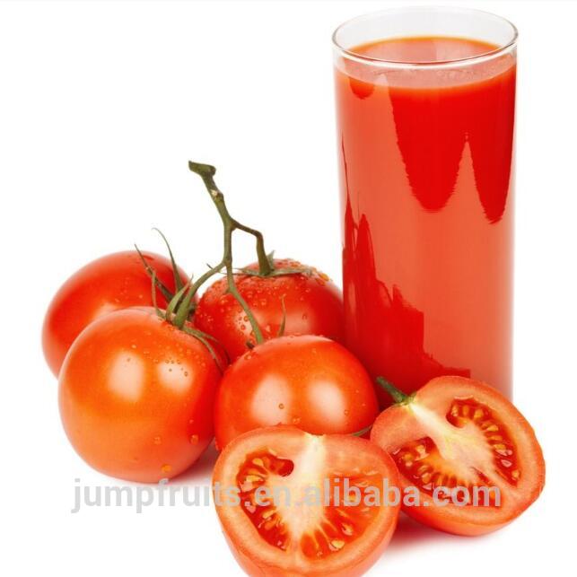 100% Concenrate Tomato Juice In Cans