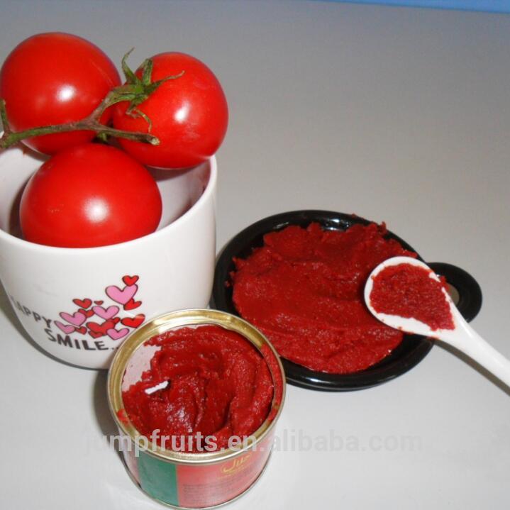 Competitive price of canned tomato paste in drum/tomato ketchup/sachet price ton