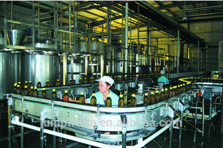 Industrial Machine for Juice Apple Press Cherry Juicer Extractor - China  Juicer, Juice Extractor