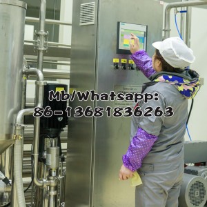 Pasteurize Dairy Condensed Milk Production Line Milk Pasteurizer
