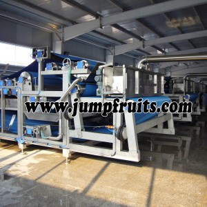Apple, pear, grape, pomegranate processing machine and production line