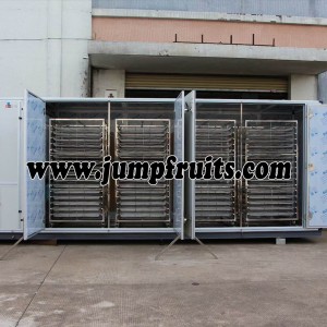 Manufacturer for Labeling Machine - Fruits and vegetables drying and packing whole line – JUMP