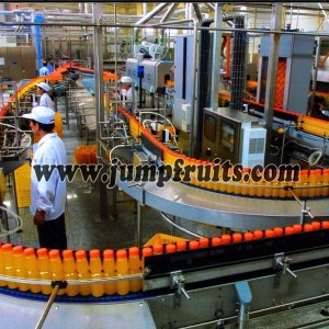 factory Outlets for 2l-220l Aseptic Bag In Drum Tomato Sauce Equipment - Navel orange, citrus, grapefruit, lemon processing machine and production line – JUMP