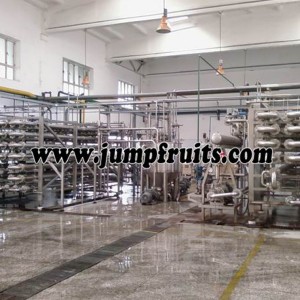 Blueberry, blackberry, mulberry, strawberry, raspberry, red bayberry, cranberry processing machine and production line
