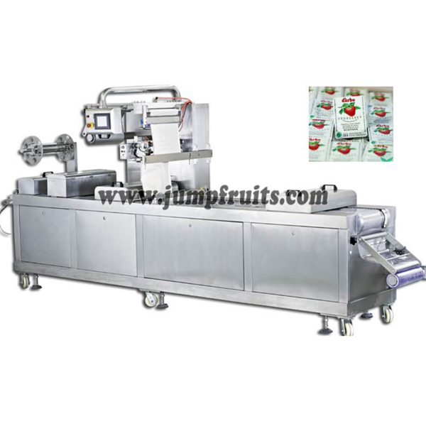 Europe style for Cold Filling Machine - Small yoghurt equipment – JUMP