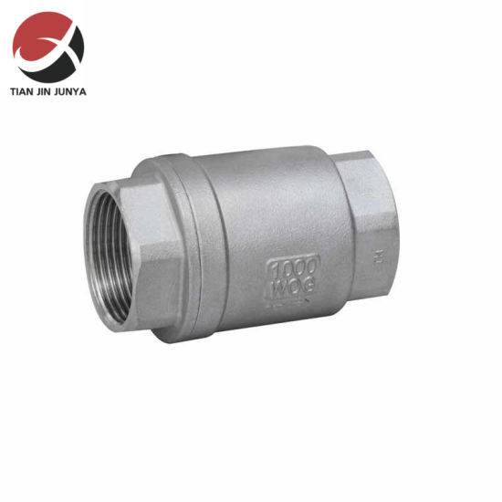 Manufacturer Direct Investment Casting Stainless Steel 2PC Vertical Spring Loaded Check Valve/Non-return Valve for Flow Control in Plumbing System