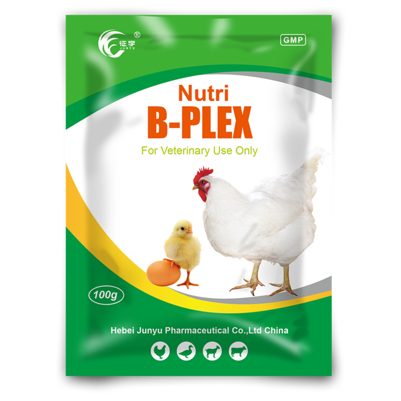 Nutrition Vitamin B Plex WSP Water Soluble Powder (1)