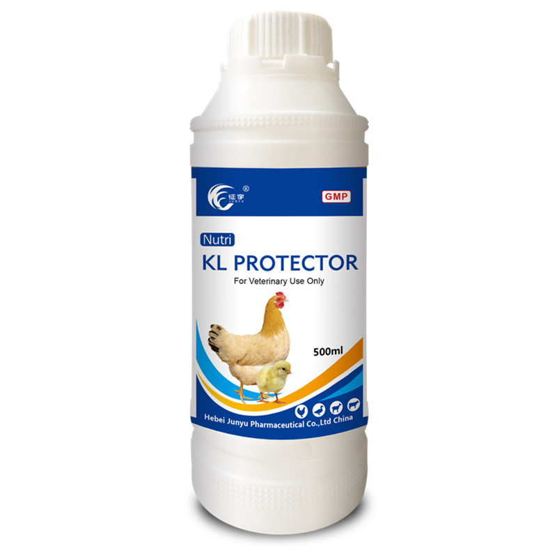Famous Wholesale Tilmicosin Oral Solution Exporters Companies - Nutrition Kidney Liver Protector Oral Solution  – Junyu Pharm