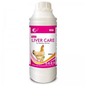Nutrition Vitamin Liver Care Oral Solution