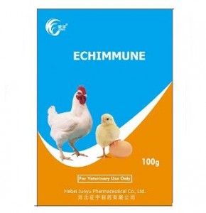China Wholesale Antibacterial Drug Company Products - ECHIMMUNE  – Junyu Pharm