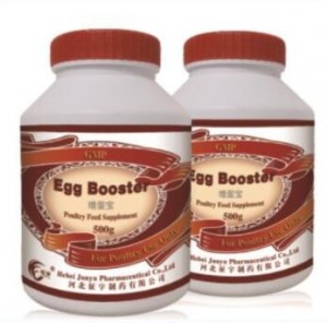 Buy Best Cattle Deworming Medicine Company Products - Egg booster   – Junyu Pharm