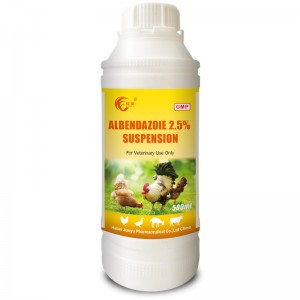 Famous Wholesale Ciprofloxacin 10% Oral Solution Company Products - Indication  – Junyu Pharm