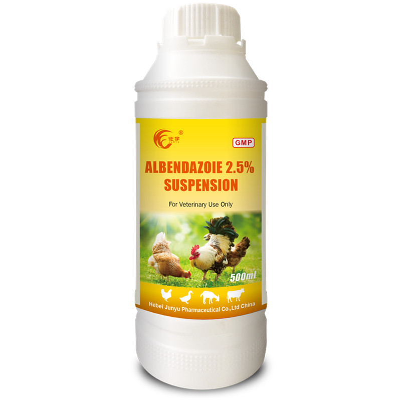 CE Certification OEM Complex Vitamin B Oral Solution Exporters Companies - Indication  – Junyu Pharm