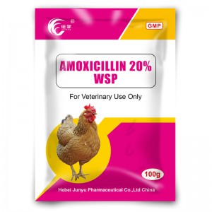 CE Certification OEM Animal Antibacterial Drug Manufacturers Suppliers - Amoxicillin 20% WSP  – Junyu Pharm