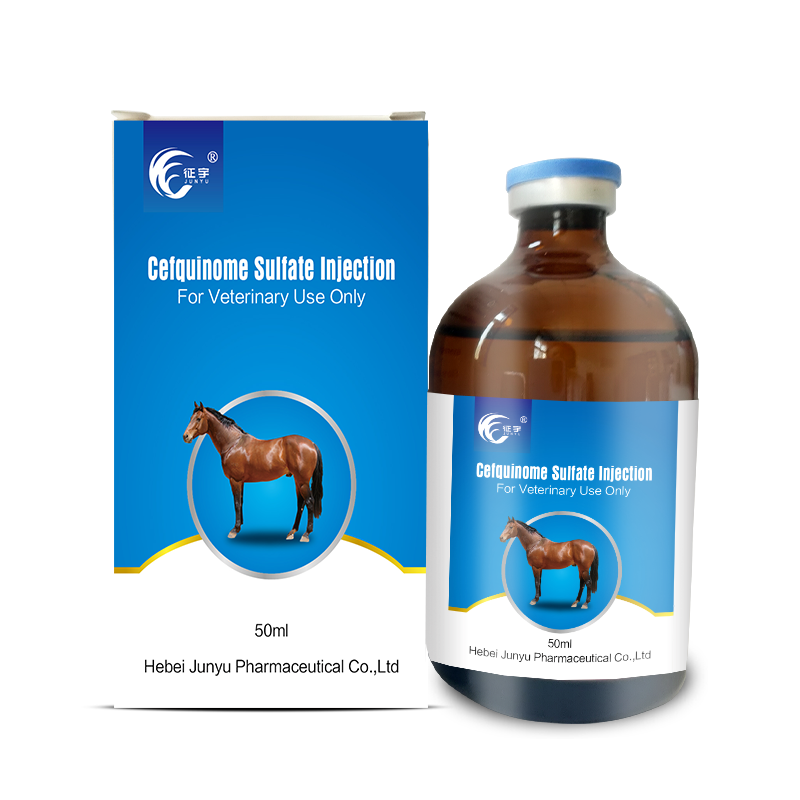 Cefquinome Sulfate Injection