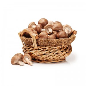 Hot New Products Shiitake Mushroom Extract - High Quality 100% Natural Dry Mushrooms Shiitake – Justgood