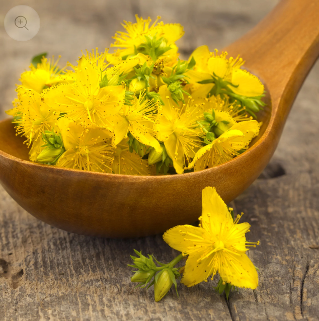 New products-St John’s Wort Tablets | Natural Health Products |