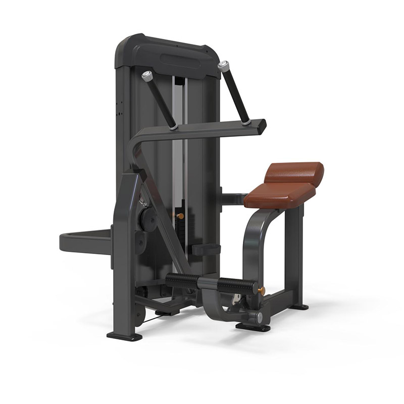 PE302 Seated Back Extension Commercial Back Extension For Gym Use