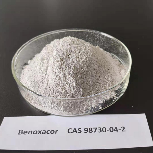 Benoxacor, CAS 98730-04-2
