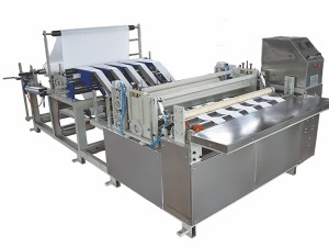 Quality Inspection for Spi Machine In Smt - DL- 1-5 Rolls super soft towel rewinding machine – Dele