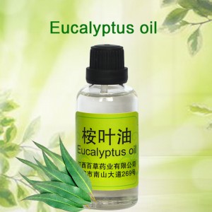 Factory Outlets Competitive Price Bulk Supply Eucalyptus Oil Essential Oil Wholesale