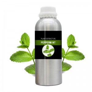 Bulk Peppermint Oil for cosmetic and perfume oil