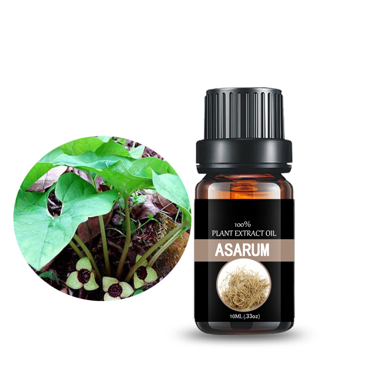 Professional Design Peppermint Oil Spiders - Essential Oil Organic Asarum Essential Oil – Baicao