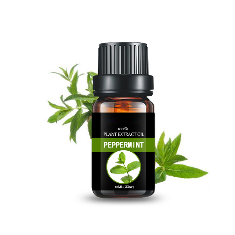 Global exporter of plant extract peppermint essential oil