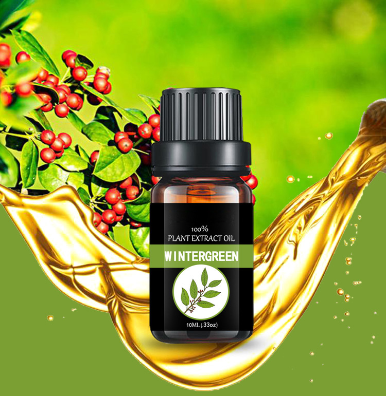 Global exporter of aromatic oil Holly oil wholesale pure methyl salicylate wintergreen oil