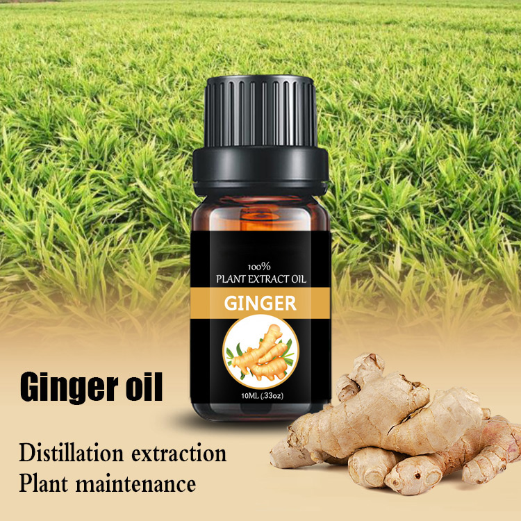 Factory Supply Natural Ginger Oil Fragrances Essential Oil for hair growth with Bulk Price