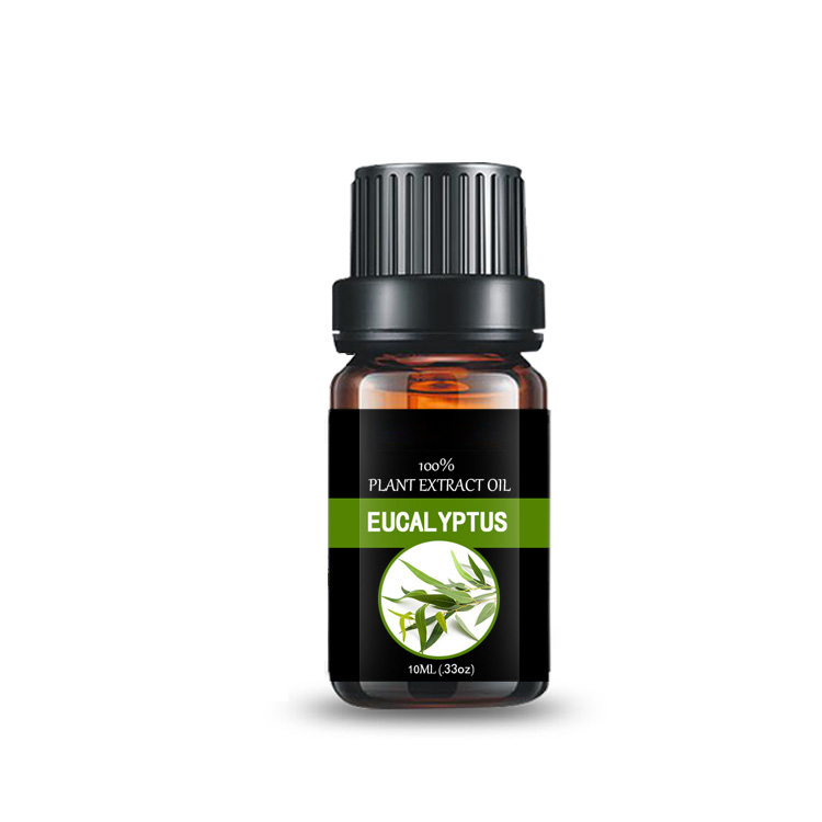 Plant extract  eucalyptus leaf essential oil
