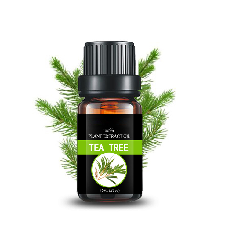Tea tree oil pure essential oil shampoo beauty skin care and soap use  cosmetic raw material