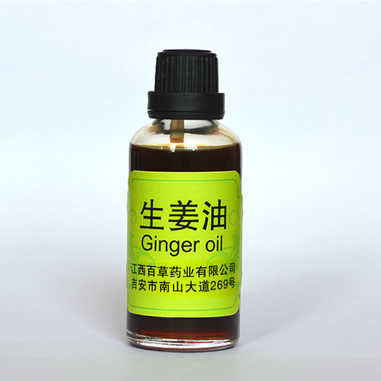 Global exporter bulk ginger essential oil