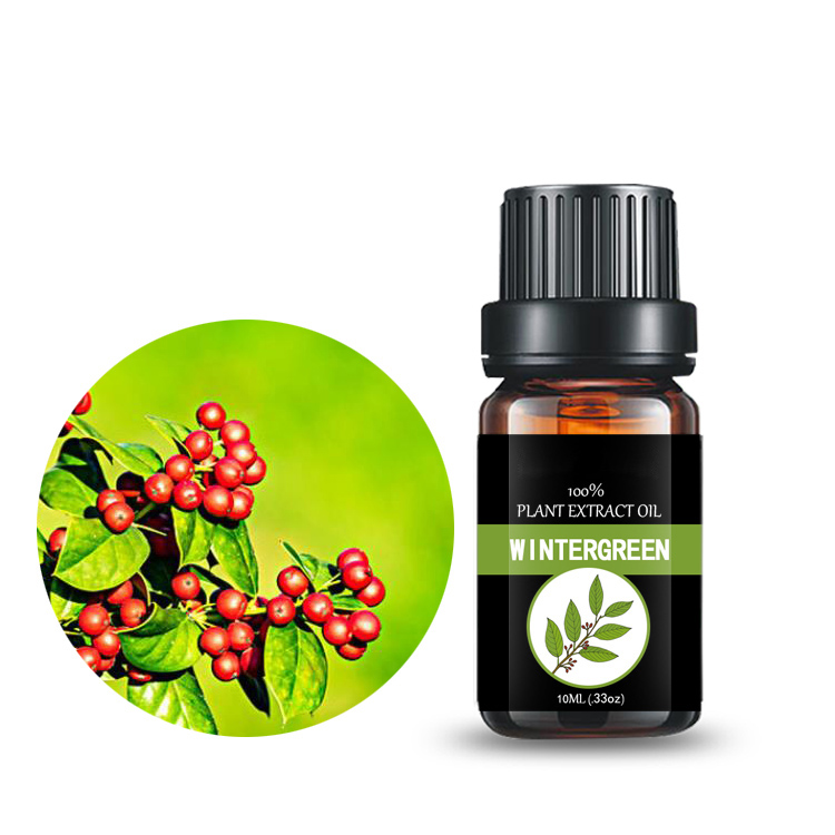 Super Purchasing for Oregano Oil Softgels Benefits - Wintergreen Oil Gaultheria Extract,methyl salicylate – Baicao