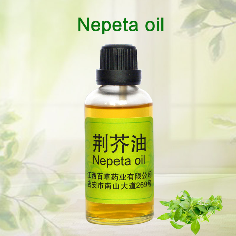 Newly Arrival Tea Tree Oil For Locs - Excellent Quality Nepeta essential Oil,Chenopodium Oil Global Exporter Jiangxi – Baicao