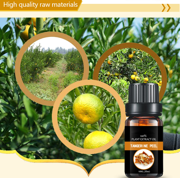 Global Exporter  tangerine oil  orange essential peel Oil