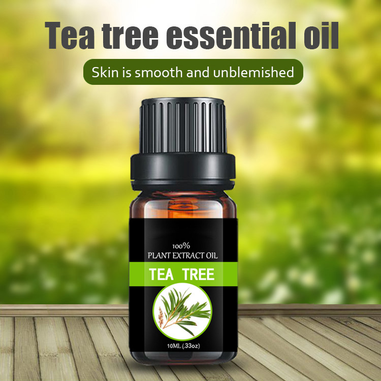 Tea tree oil  essential oil use for beauty skin care and cosmetic  Plant extract