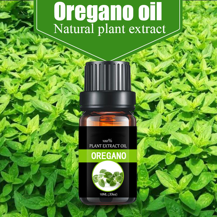 Plant extract oregano oil and thyme essential oil