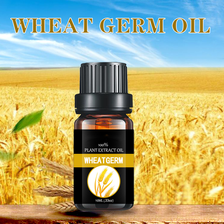 Wheat Germ Oil Plant Extract Flavoured Oil Carrier oil