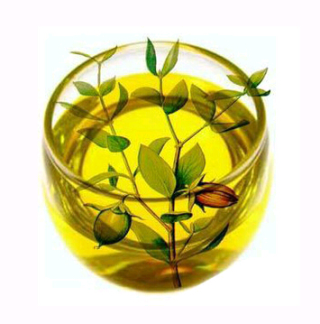 61789-91-1 cosmetics usage, skin care, carrier oil jojoba oil with best price high quality