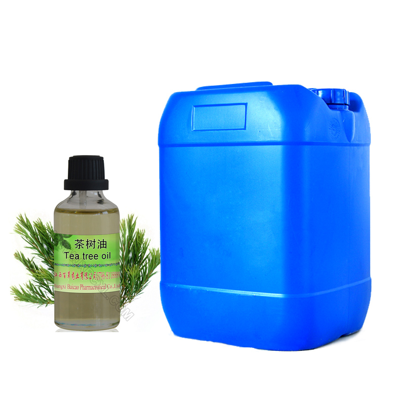 Tea tree oil  essential oil use for beauty skin care and cosmetic  Plant extract