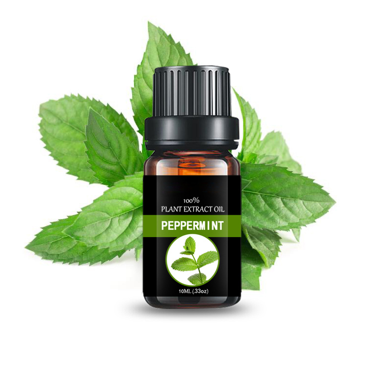 mentha arvensis peppermint essential oil with menthol