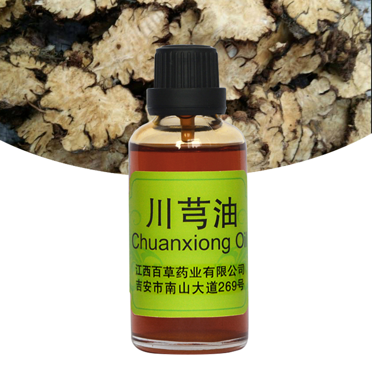natural Ligusticum chuanxiong scented oil plant essential oil