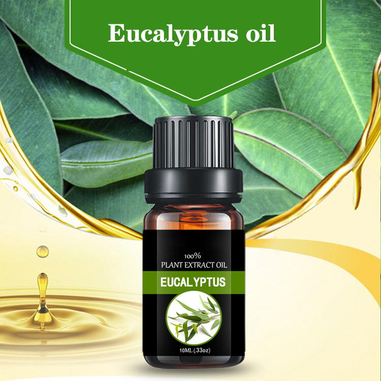 Eucalyptus Essential Oil 99% Cineole Eucalyptol Bulk