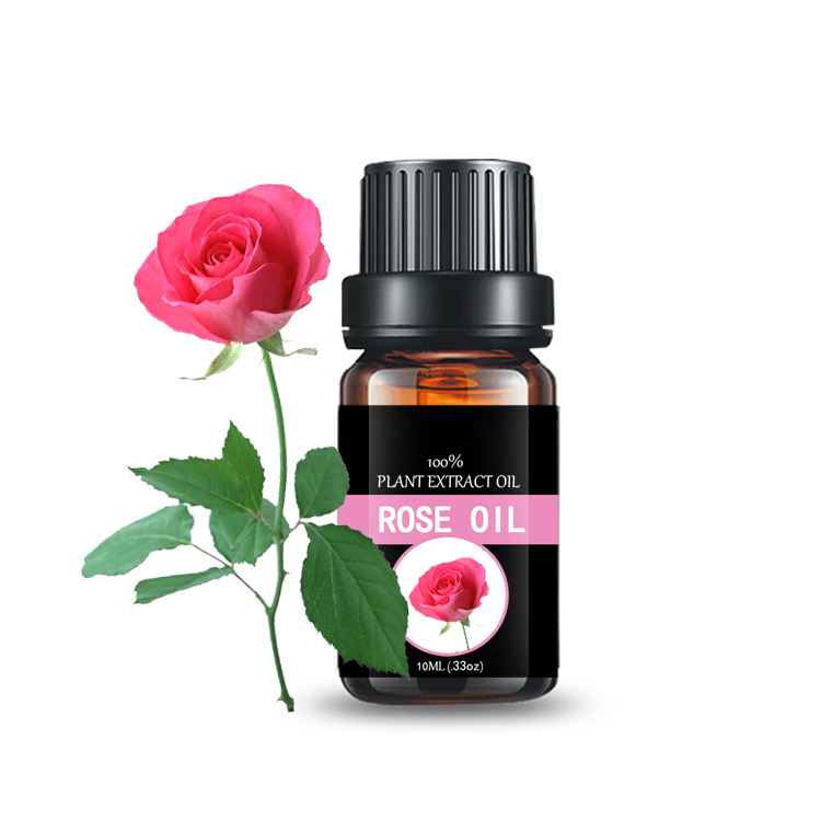 Private label Pure and Natural essential oil Rose oil for face body and hair of gift Relief relax Featured Image
