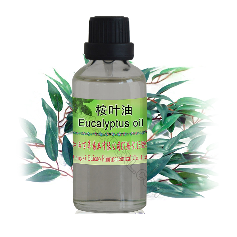 eucalyptus oil Featured Image