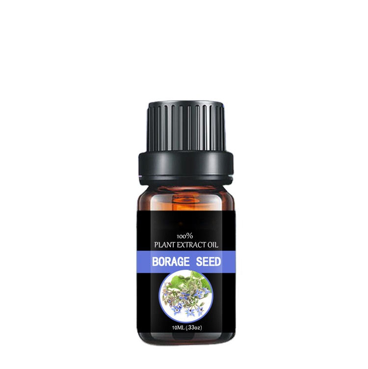 Quality Inspection for Oregano Oil Topical Uses - Pure essential lmassage oil wholesale Spa  borage seed oil – Baicao