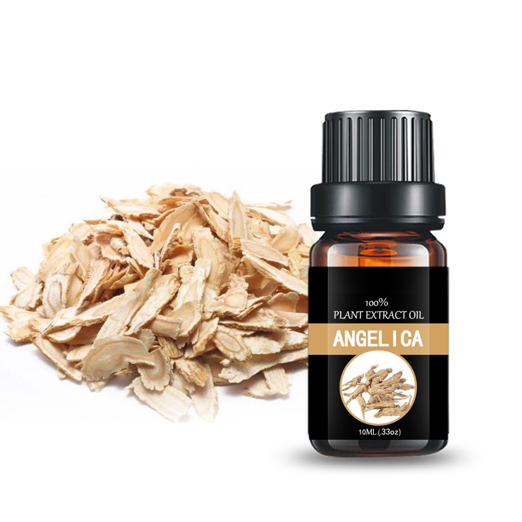 Angelica essential oil Jiangxi bulk essential oil plant essential oil